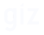 giz 1